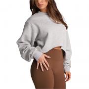DT1348 Custom Sweatshirts Crewneck Pullover Long Sleeve Crop Top