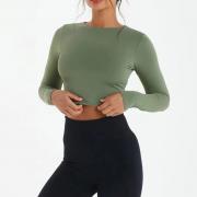 BD1405 Custom Long Sleeve Gym Fitness Cropped T-shirts